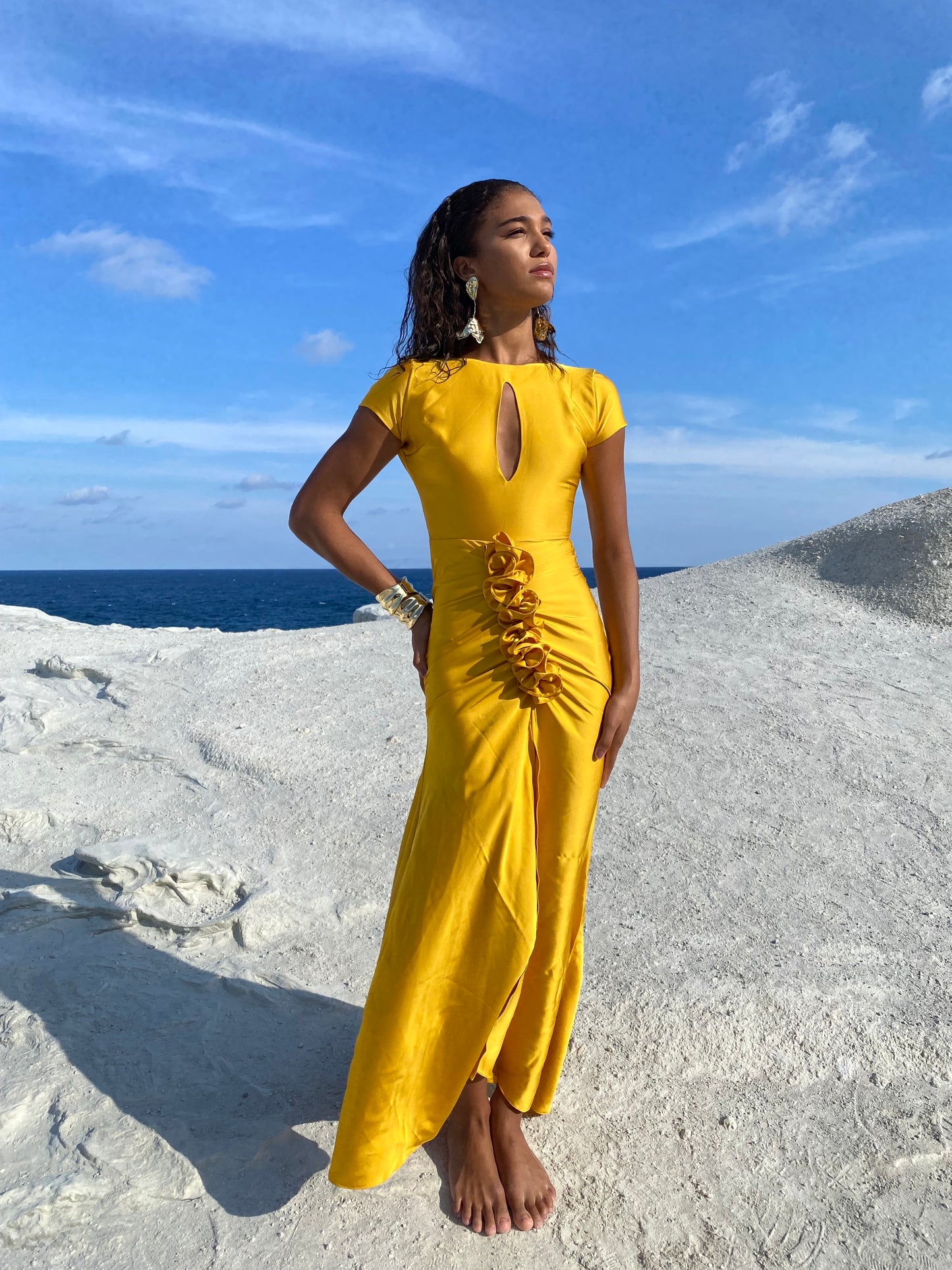Alaia Dress