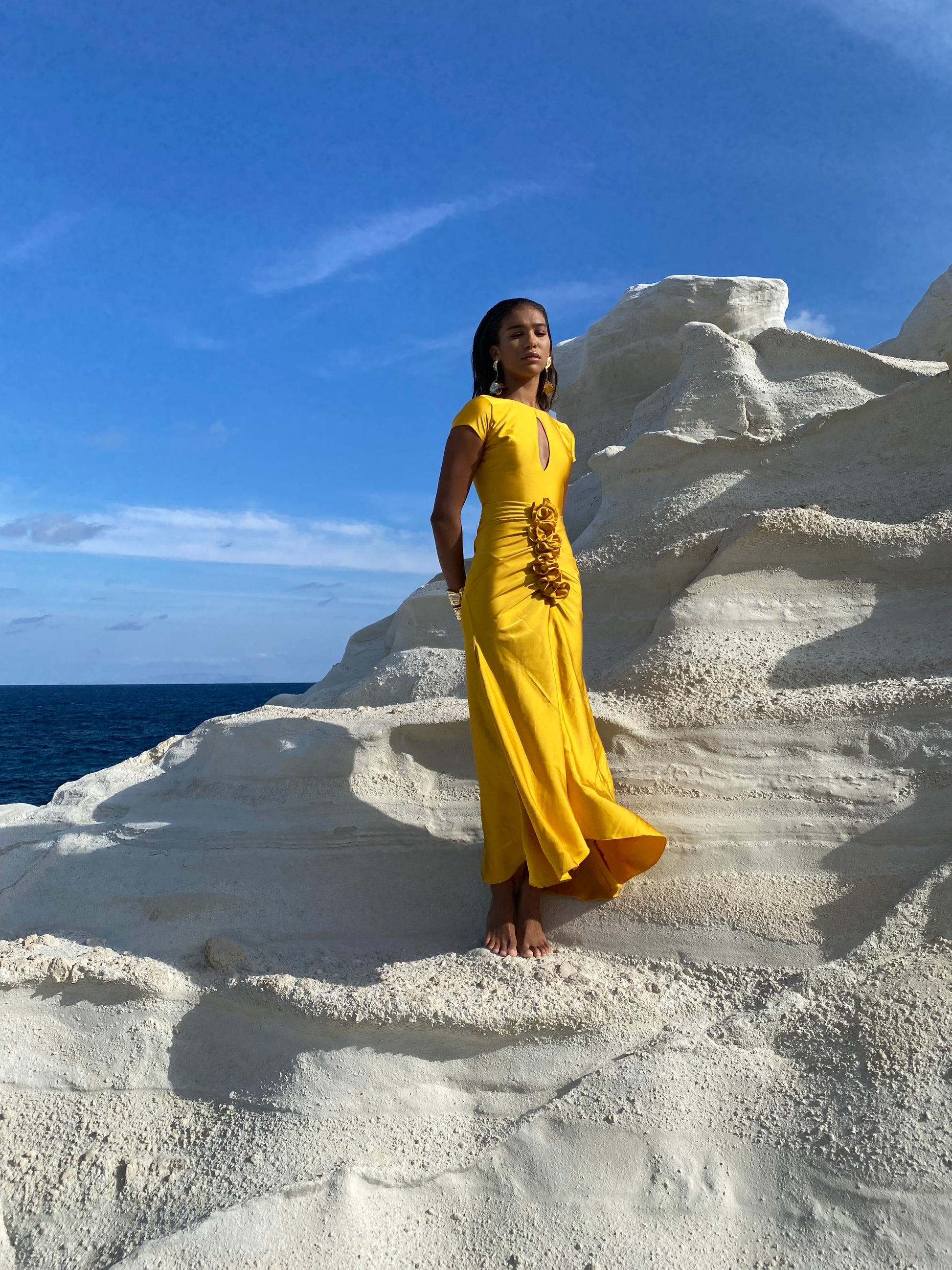 Alaia Dress