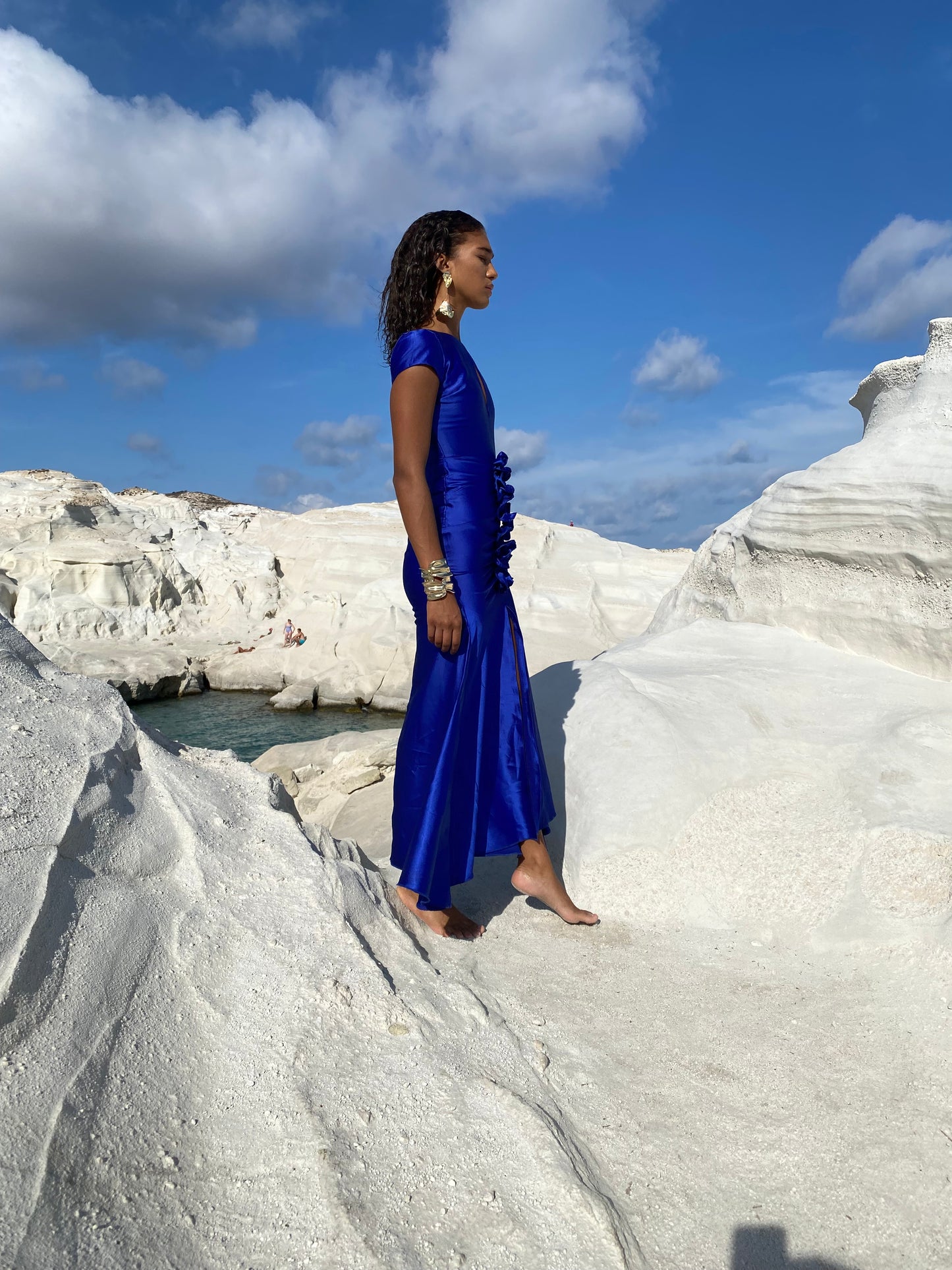 Alaia Dress